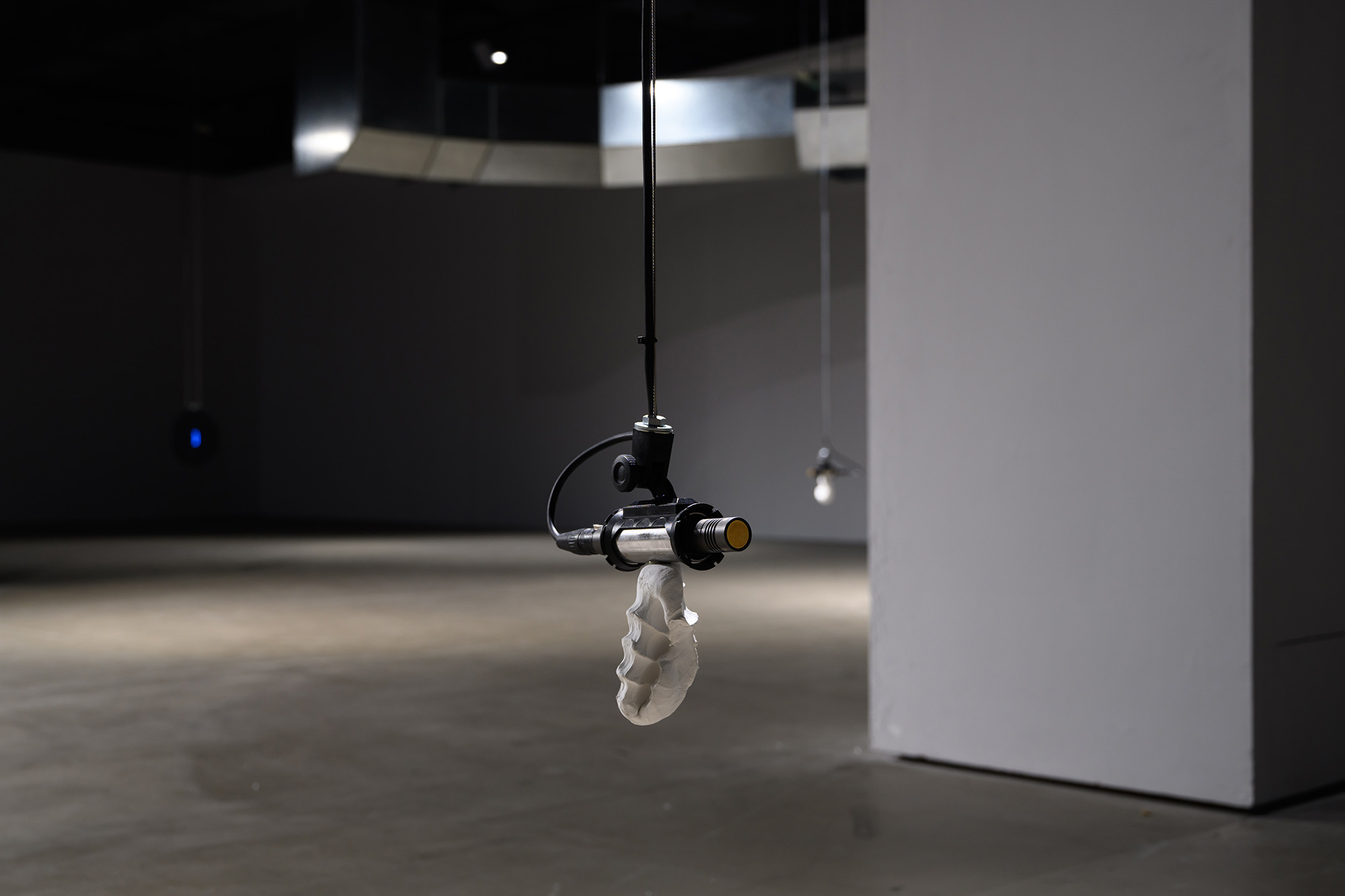 Chen Ting-Jung, Dislocated Voice, 2022