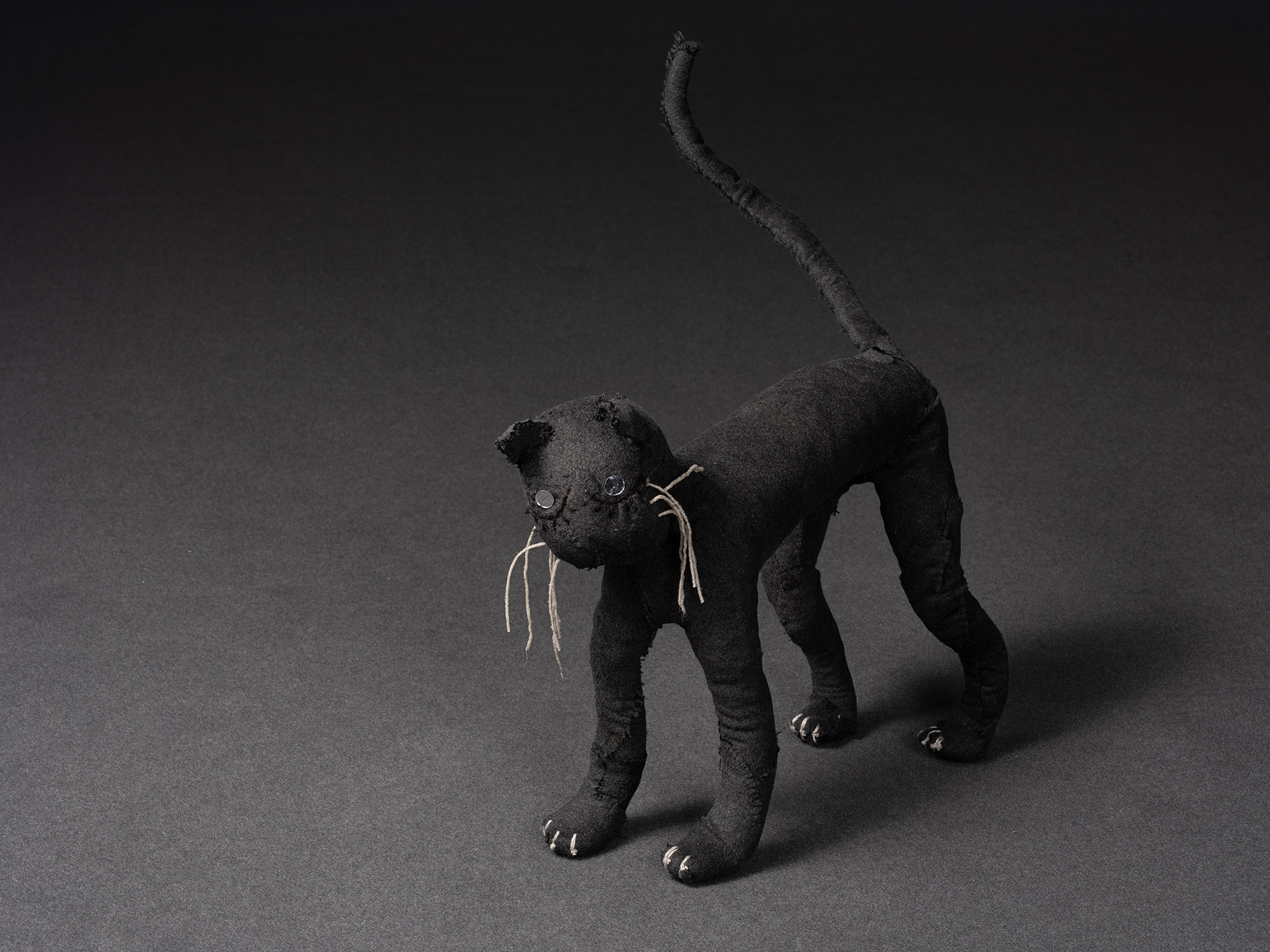 Pieter Jennes, I’m Glad There Is You; Kitten A, 2023, cotton, felt, dimensions variable