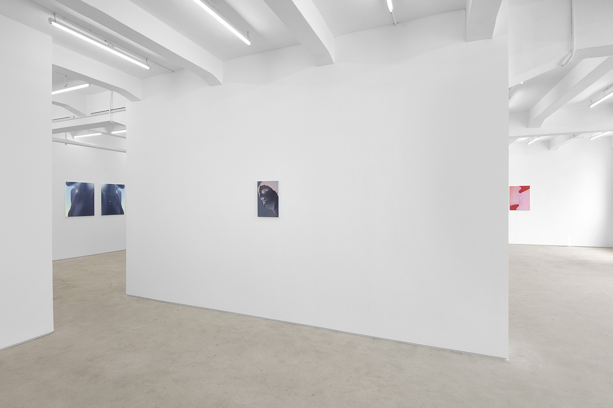 Vivian Greven, The Negatives, solo exhibition at Gallery Vacancy, installation view 2