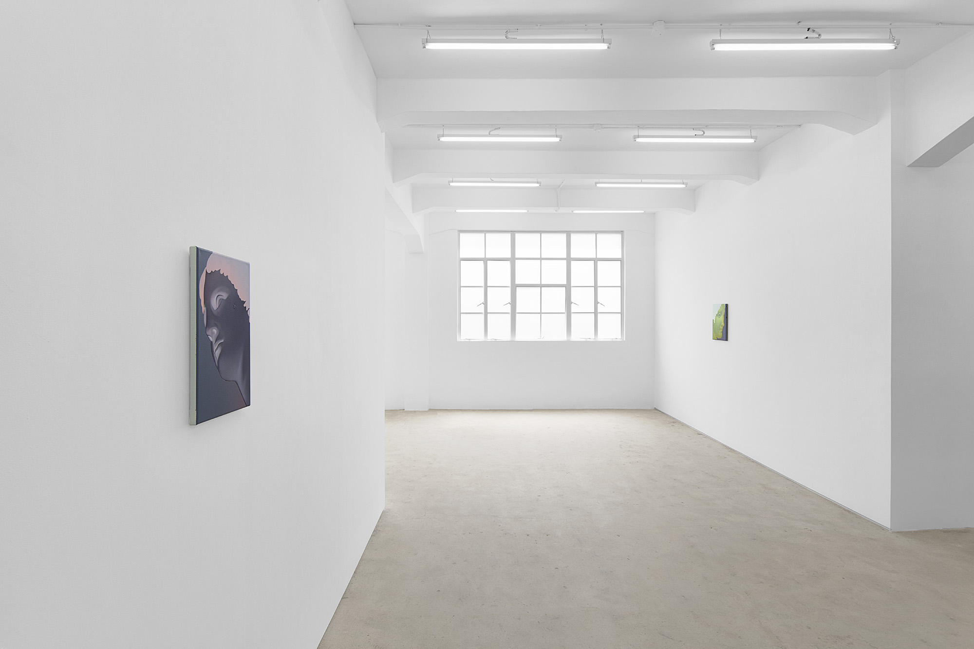 Vivian Greven, The Negatives, solo exhibition at Gallery Vacancy, installation view 3