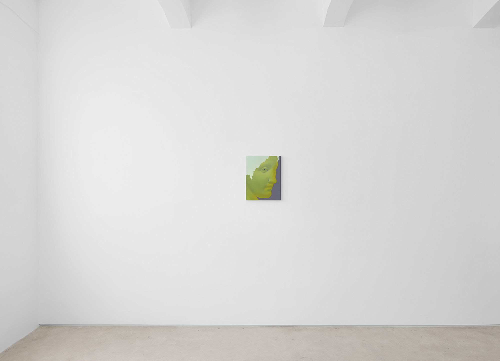 Vivian Greven, The Negatives, solo exhibition at Gallery Vacancy, installation view 4