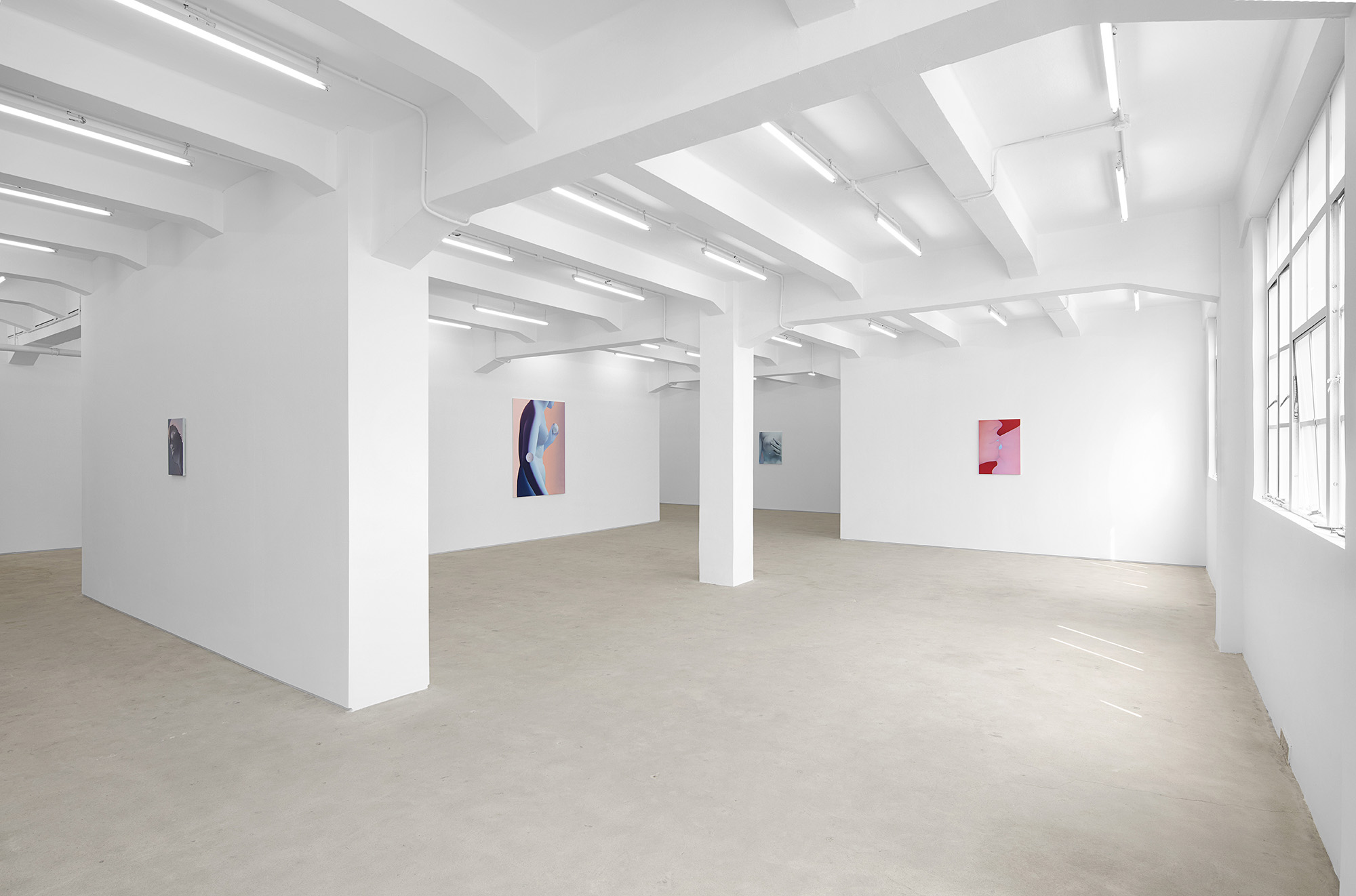 Vivian Greven, The Negatives, solo exhibition at Gallery Vacancy, installation view 5
