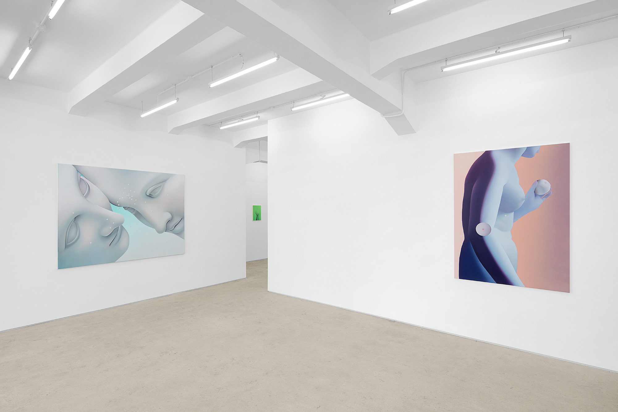 Vivian Greven, The Negatives, solo exhibition at Gallery Vacancy, installation view 12