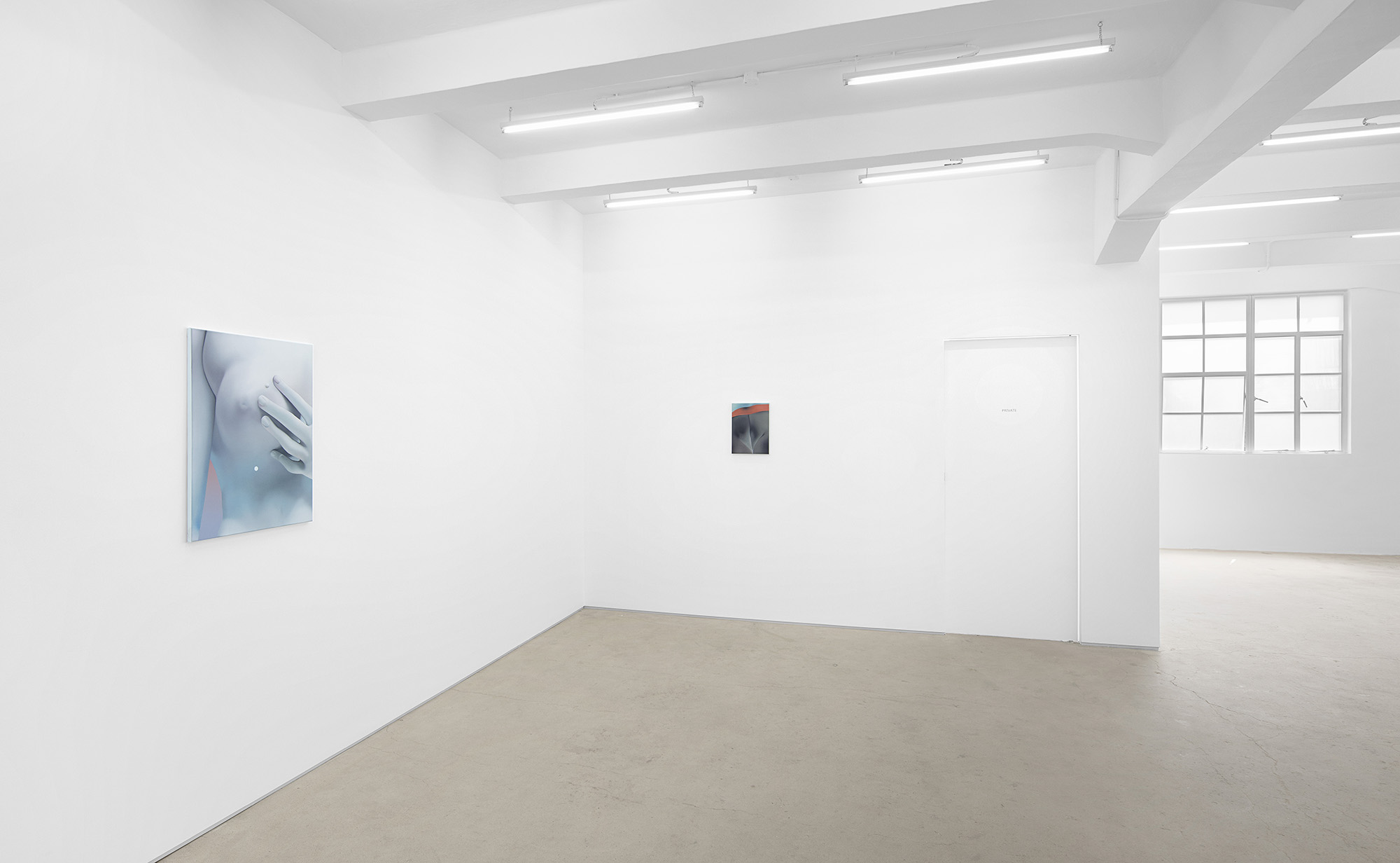 Vivian Greven, The Negatives, solo exhibition at Gallery Vacancy, installation view 18