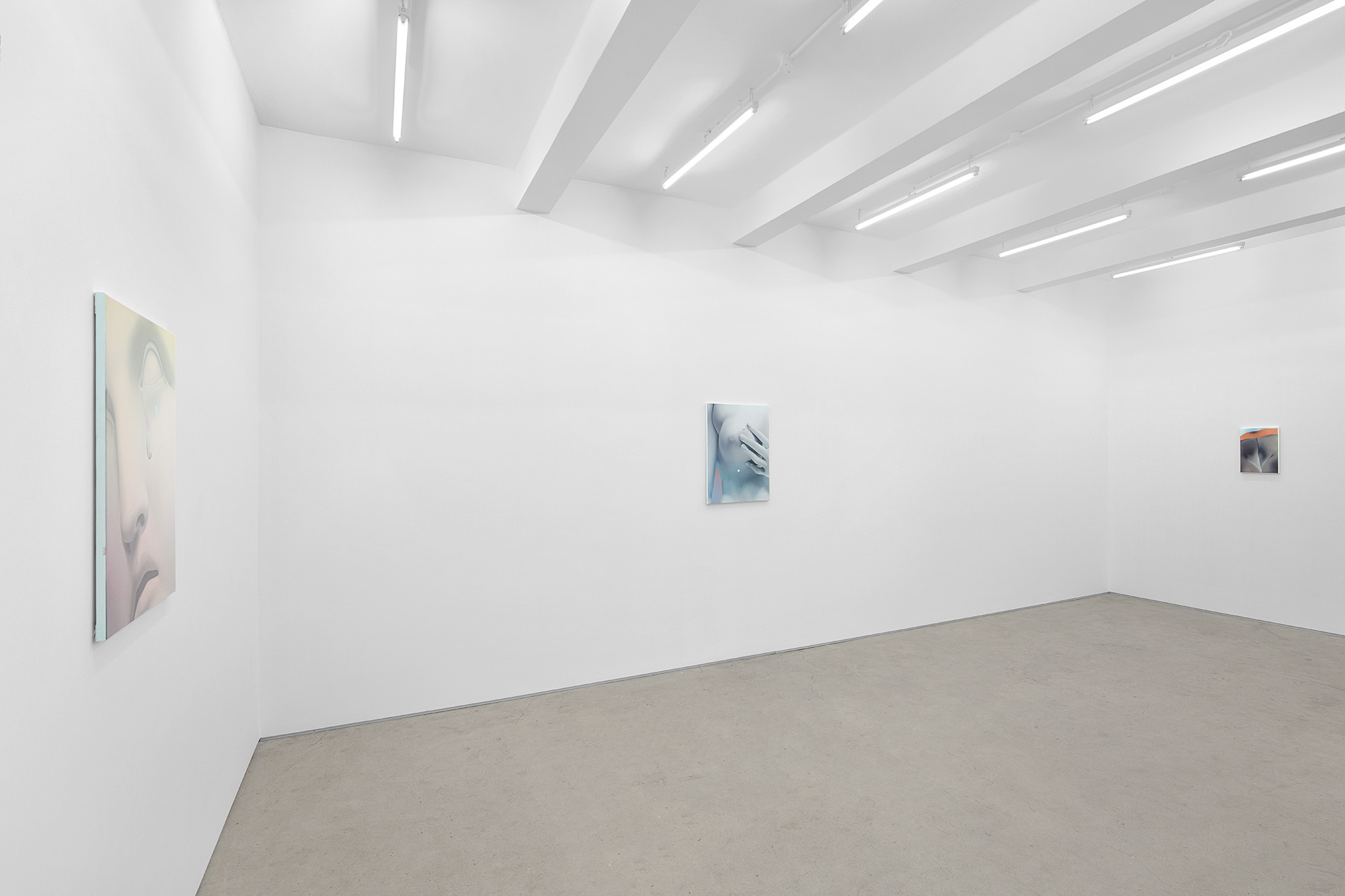 Vivian Greven, The Negatives, solo exhibition at Gallery Vacancy, installation view 19