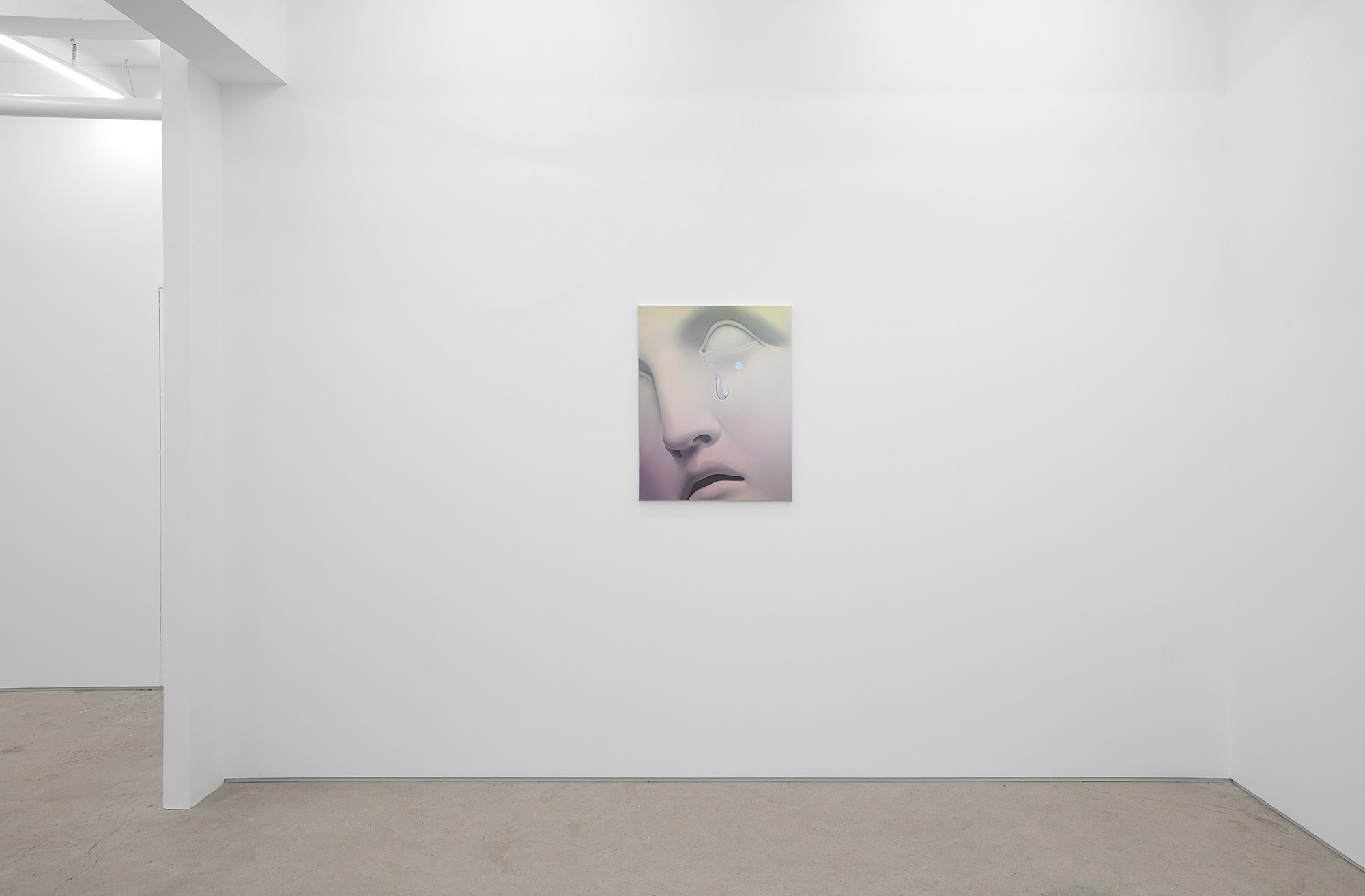 Vivian Greven, The Negatives, solo exhibition at Gallery Vacancy, installation view 20