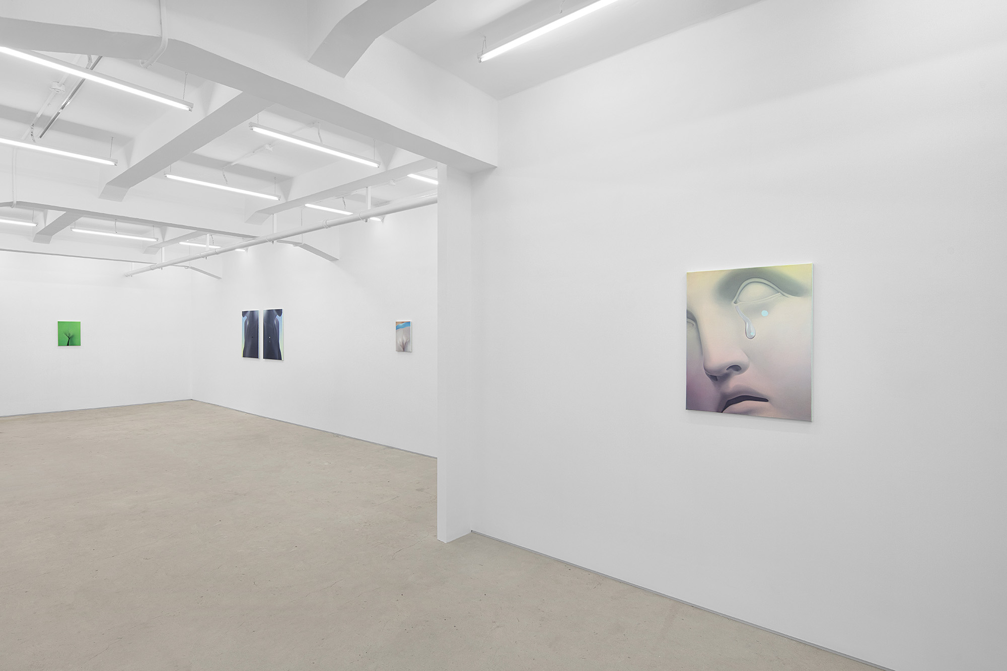 Vivian Greven, The Negatives, solo exhibition at Gallery Vacancy, installation view 22