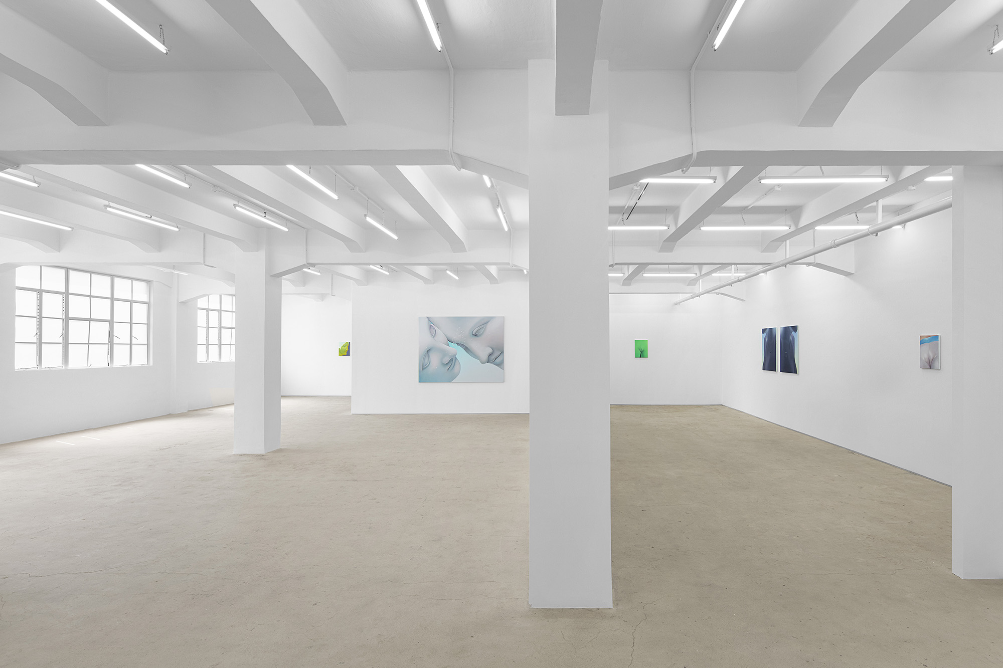 Vivian Greven, The Negatives, solo exhibition at Gallery Vacancy, installation view 23