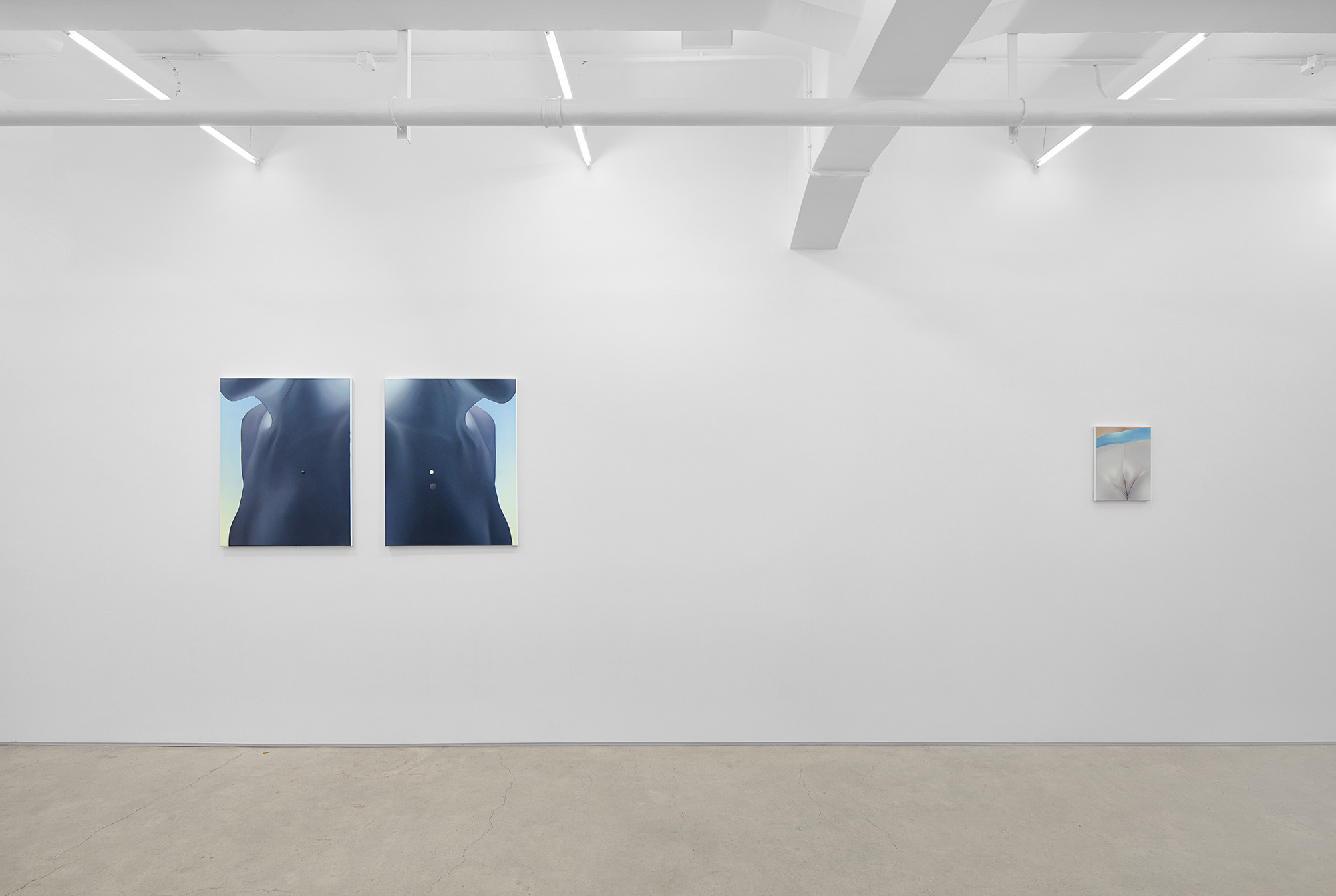 Vivian Greven, The Negatives, solo exhibition at Gallery Vacancy, installation view 24