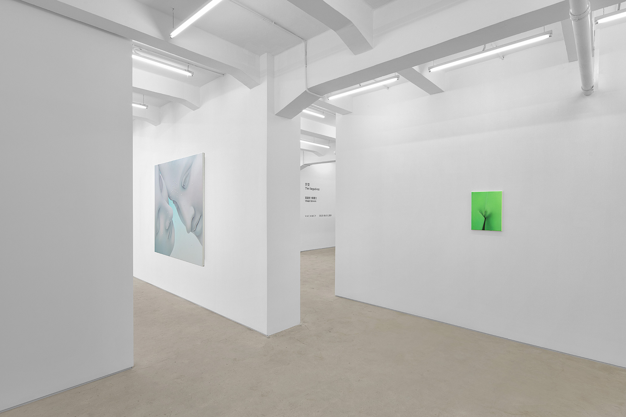 Vivian Greven, The Negatives, solo exhibition at Gallery Vacancy, installation view 26