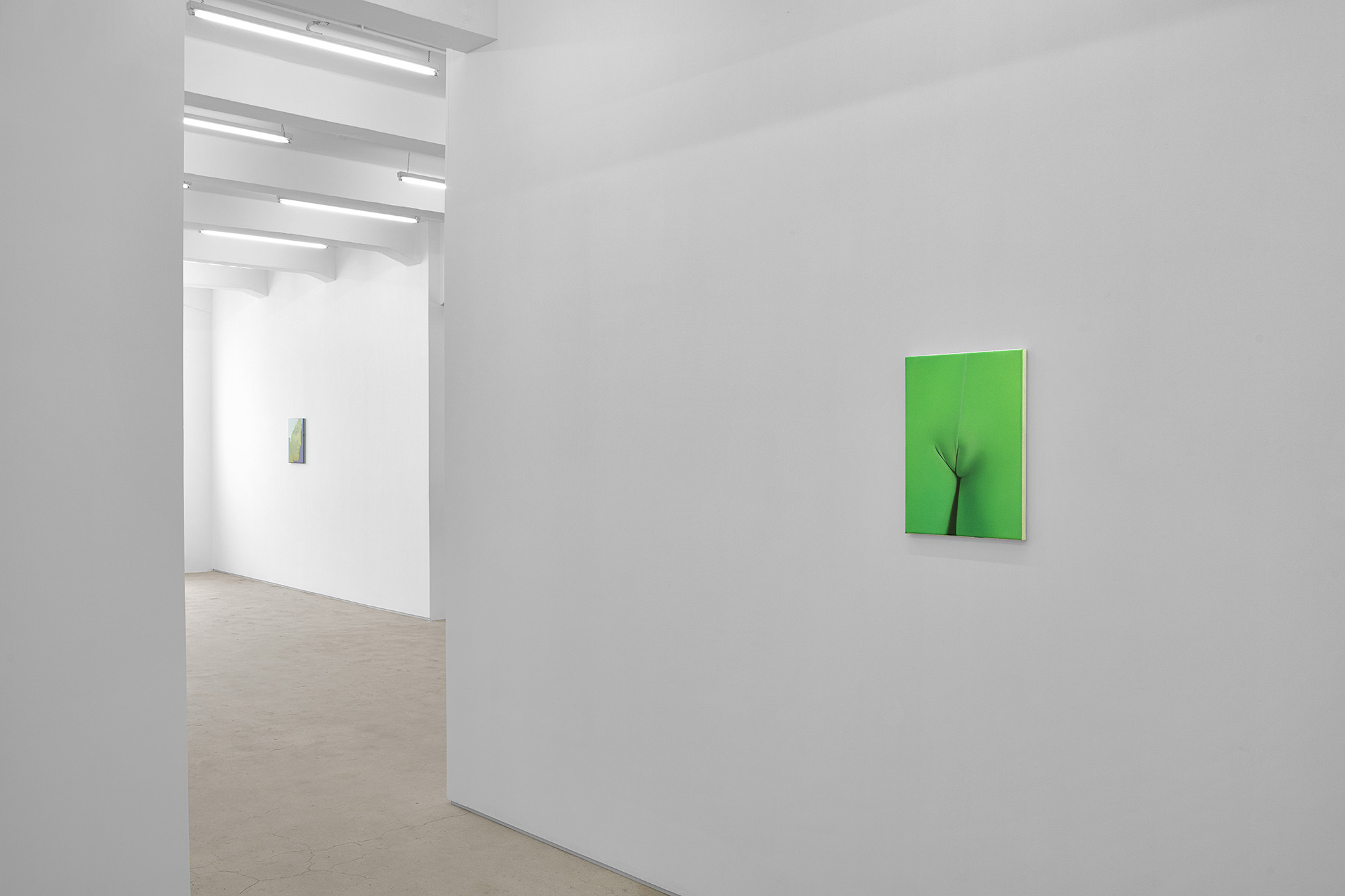 Vivian Greven, The Negatives, solo exhibition at Gallery Vacancy, installation view 27