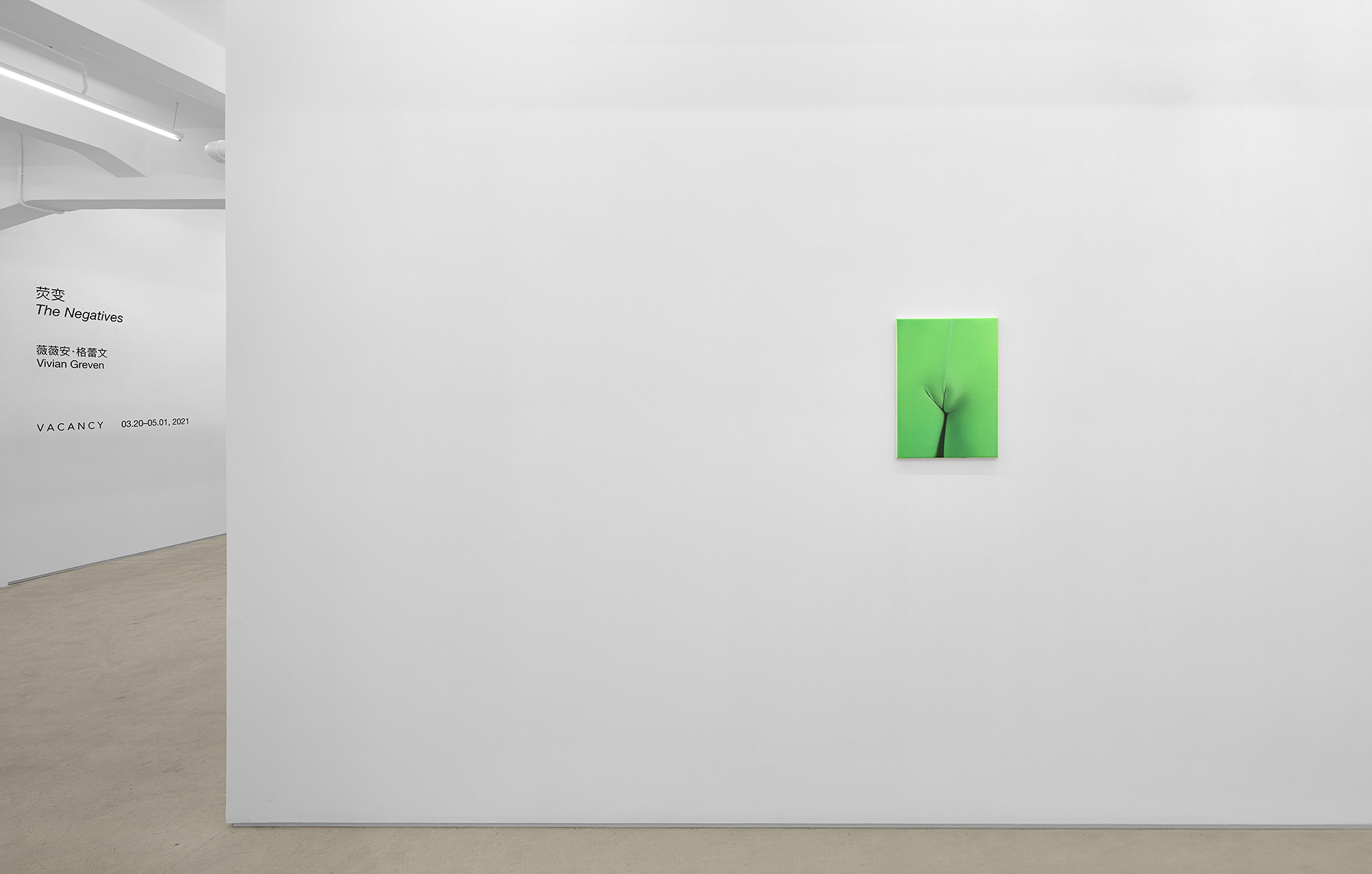 Vivian Greven, The Negatives, solo exhibition at Gallery Vacancy, installation view 28