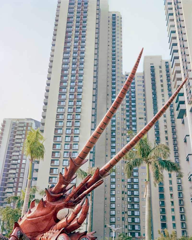 Peng Ke, Lobster, 2015 (Shenzhen)